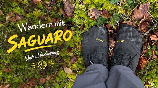 Unterwegs mit SAGUARO: Mein Jakobsweg